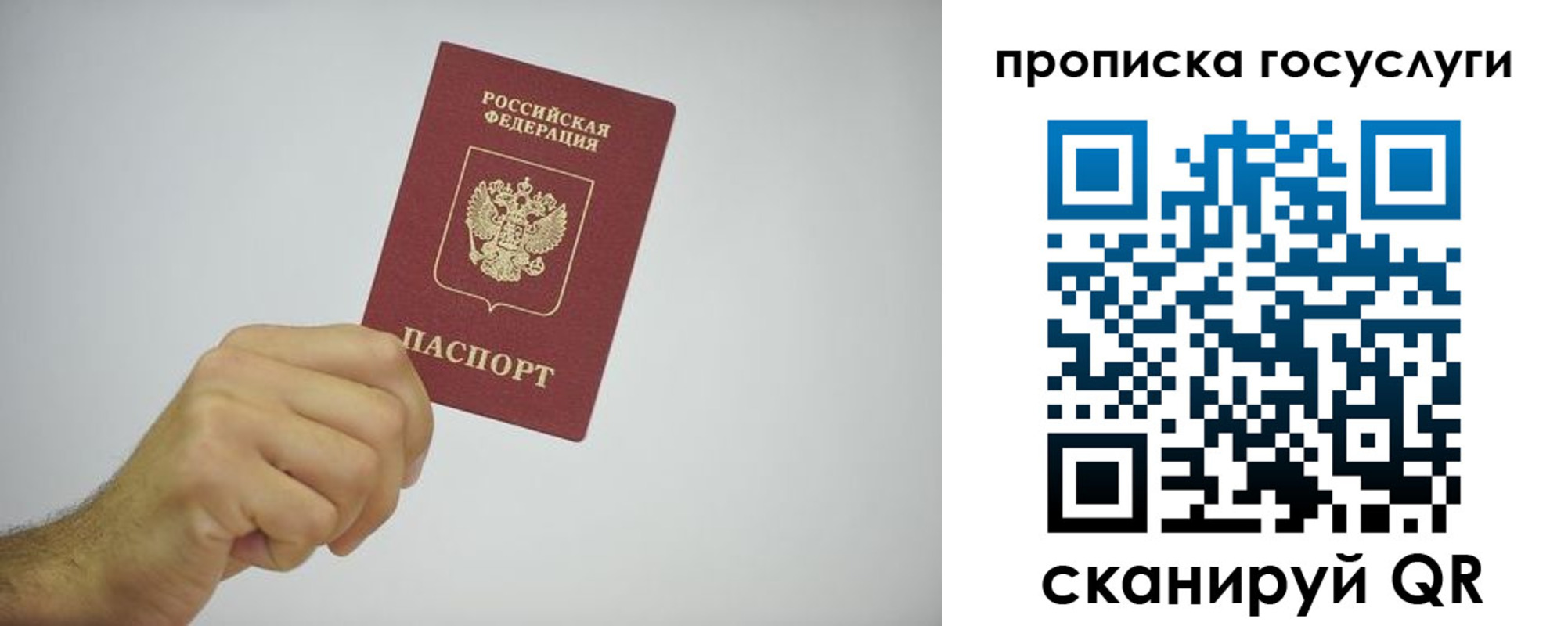прописка законно в Гатчине